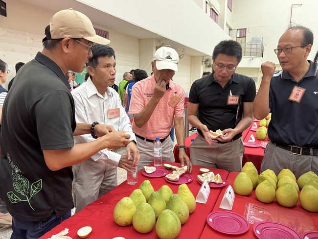 斗六文旦評鑑林震源奪特等獎　已賣完想吃再等1年 | 華視新聞