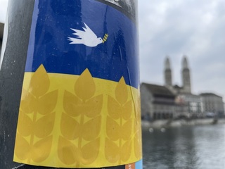 是否派維和部隊進入烏克蘭  瑞士引發不同政治辯論