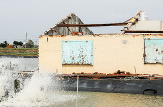 遭天災重創  嘉縣義竹鄉將普發5000元民生紓困金