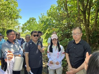 釋迦近全倒因僅測8級風遭保險拒賠　立委伸援助農民