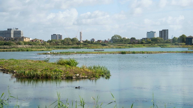 嘉縣建濱海環教場館　參考倫敦濕地中心經營方式 | 華視新聞