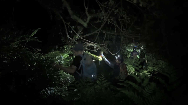 4名登山客迷路困宜蘭山區 消防漏夜尋獲帶下山 | 華視新聞