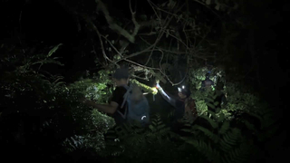 4名登山客迷路困宜蘭山區 消防漏夜尋獲帶下山