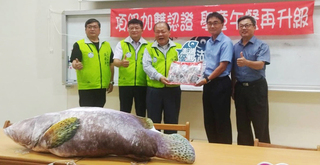 澎湖國中小營養午餐有龍膽石斑　每月至少吃1次