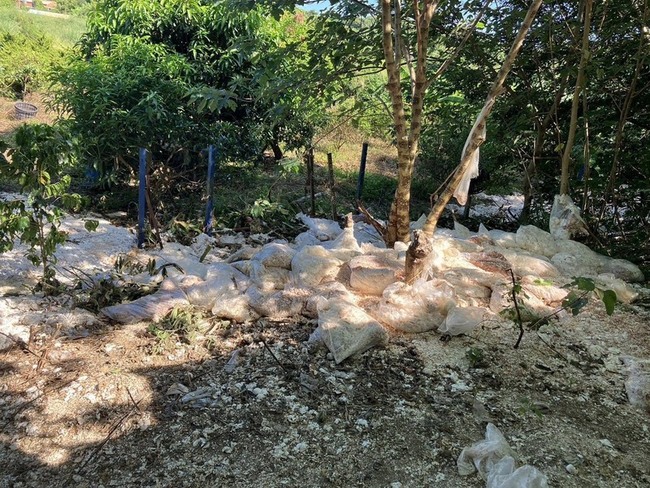 苗栗通霄空地遭棄置大量廢蛋殼　警查獲3人送辦 | 華視新聞