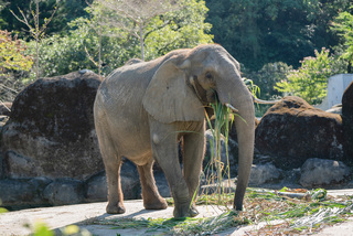生命教育慰靈祭  北市立動物園中元普度離去夥伴