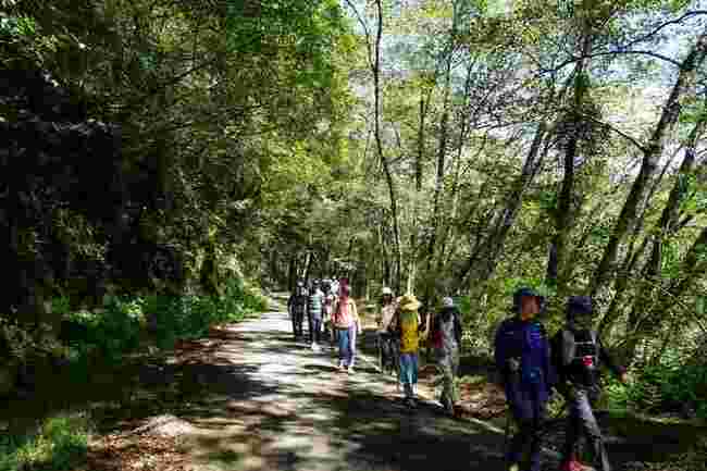 雪管處推國慶假期減碳健行遊觀霧　開放預約報名 | 華視新聞