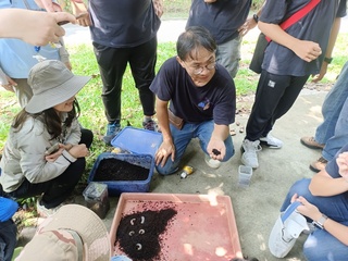 台中大坑生態園區  獨角仙、蝴蝶成功復育