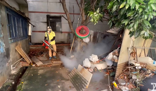 高雄市增3例境外移入登革熱 籲回國民眾配合防疫