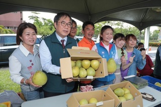 2025麻豆文旦節登場　黃偉哲邀遊客感受柚香風情