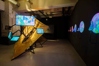 顛覆醫學教材奪藝術獎　顧廣義：讓酷兒學生不再孤單