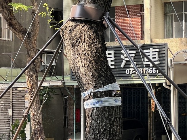 颱風樺加沙來臨　高雄輕軌樹木傾斜儀即時監測 | 華視新聞