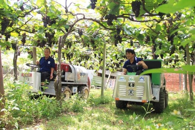 台中農改場研發電動鼓風噴霧機　果園碳排減逾8成 | 華視新聞