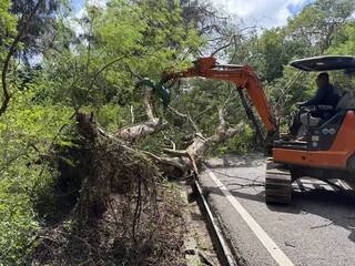 強颱樺加沙影響　金門2件樹木倒伏縣府籲防颱
