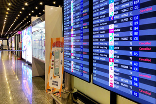 颱風樺加沙影響持續　桃機24日取消119架次航班