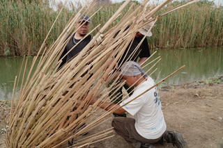 種籽之旅　新北濕地藝術季10/4開展1個月