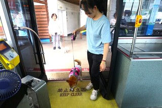 台南「假日友善狗狗公車」　9/27起2路線試辦免攜籠