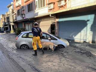 高市特搜隊馳援花蓮光復鄉救災  救出3人1犬