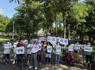 高雄市三民公園改建　僅針對危木進行移植