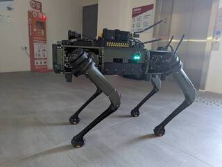 環境部推科技救災　全台首隻毒化災偵檢機器犬亮相