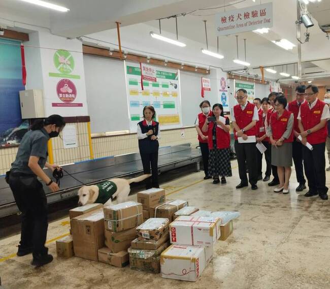 違規攜豬肉產品裁罰案降　中國東南亞傳入風險仍高 | 華視新聞