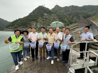 穩定發電、維護生態　台電明潭水庫放流萬尾魚苗
