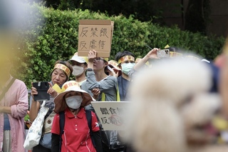 動保人士憂禁餵浪浪入法　農業部：需研議凝共識