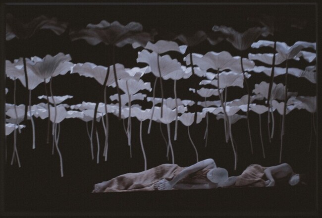 日本山海塾「影見—水鏡之彼方」  展現極慢美學 | 華視新聞