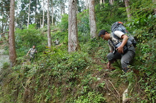 林保署南投甄選8名森林護管員　薪資最高近5萬元