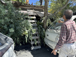 採龍眼不經意留下的木梯　意外成20人的救命梯