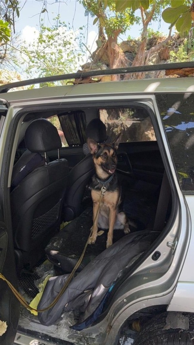 蘇澳海事鏟子超人清災區　救出受困車內8天狗兒 | 華視新聞