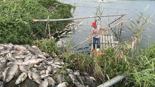 麥寮鄉魚塭斷電損百萬　台電指用戶應備緊急發電機