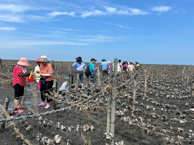 彰化啟動文化藍帶2.0　5走讀路線感受人文魅力 | 華視新聞