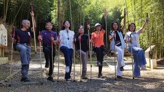 2025草嶺石壁森林療癒季  多元體驗喚醒身心能量