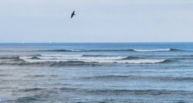 中秋節逢年度大潮　澎湖低窪水位一度達警戒 | 華視新聞