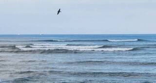 中秋節逢年度大潮　澎湖低窪水位一度達警戒