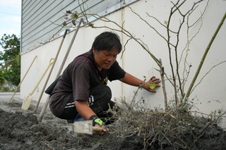 花蓮光復市區居民談重建　先清理家園不敢想太遠