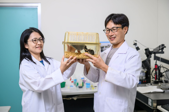 陽明交大團隊精準定位大腦神經訊號　突破觀測瓶頸 | 華視新聞