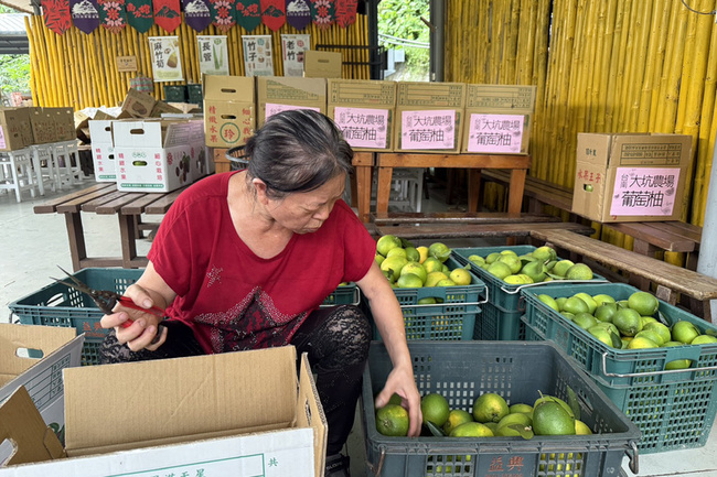台南大坑農場募愛心　2000台斤自產水果送花蓮災區 | 華視新聞