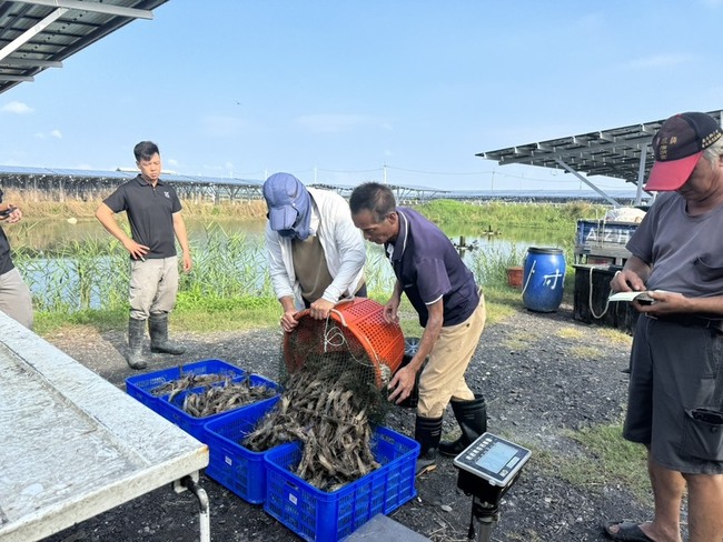 台泥嘉謙綠能F區遭嘉縣撤照  向行政法院提出異議 | 華視新聞