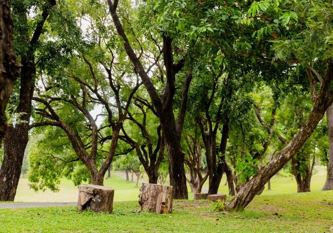 高球場變公園首例　高雄果嶺自然公園10日開放 | 華視新聞
