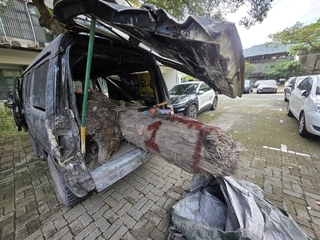 宜蘭警林破獲盜取扁柏案　查獲市價12萬元珍貴林木