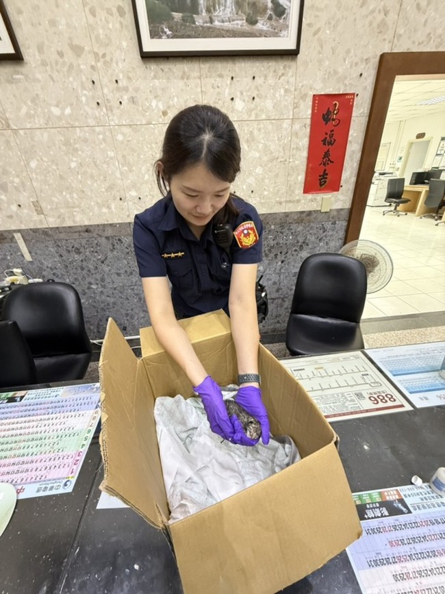 幼貓困變電箱縫隙臍帶未脫落　瑞芳警暖心救援 | 華視新聞
