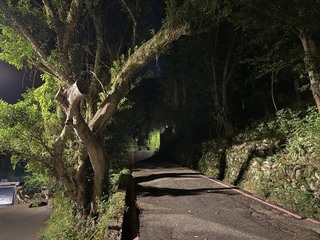 新北新店男子倒臥路邊　遭計程車司機輾過不治