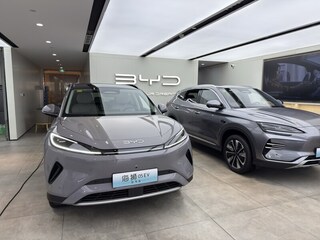 中國整治電動車、鋰電池內捲  學者：很困難