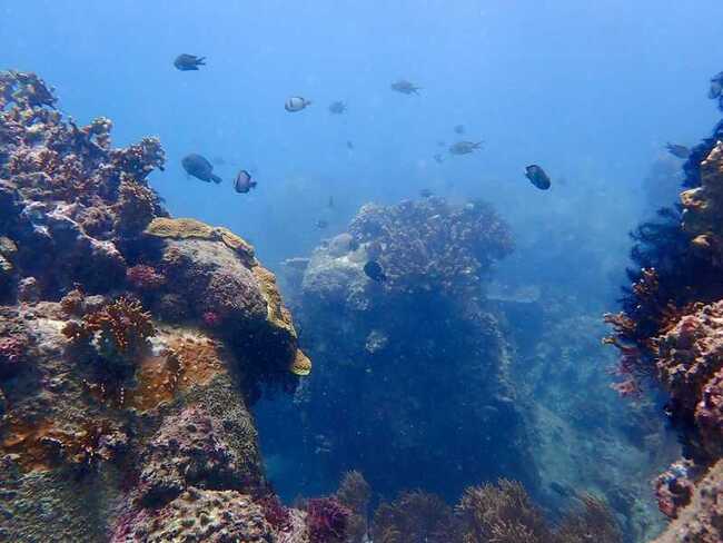 南灣海水混濁遭疑因光電板　墾管處：颱風豪雨所致 | 華視新聞