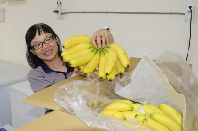 興毅基金會攜手輔大  推動食物銀行安居助貧弱 | 華視新聞