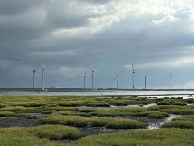 高美濕地陸蟹不只路殺危機　一出保護區還被捕捉 | 華視新聞