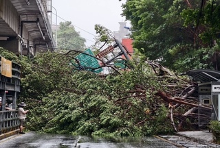 共伴風強雨驟　竹市東門國小旁路樹傾壓無人小巴士