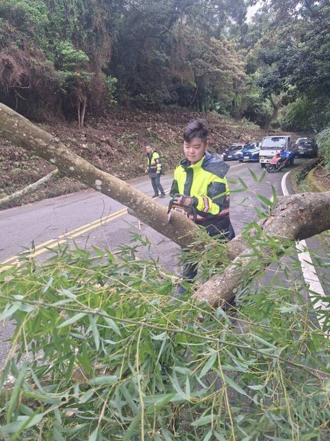 共伴效應強風陣陣　苗栗縣道路樹木傾倒幸無人傷 | 華視新聞